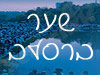שער ברסלב