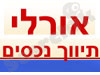 אורלי תיווך נכסים