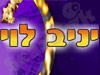יניב לוי 