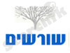 שורשים דיגיטליים 
