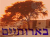 בארותיים