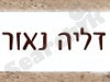 דליה נאור