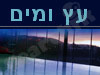 עץ ומים 