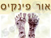 אור פינקיס