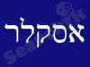 אסקלר טכנולוגיות 