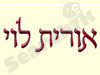 אורית לוי 