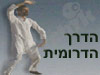 הדרך הדרומית
