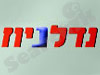 נדלניוז 