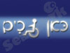 כאן נכים