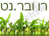 רן ובר 