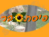 פיסת בר