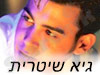 גיא שטרית 