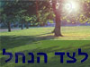 לצד הנחל