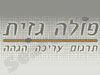 פולה גזית