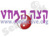 קצה המחט 