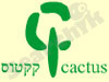 קקטוס 