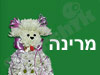 פרחי מרינה 