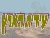 עידית הארץ 
