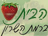 הבית ברמת השרון