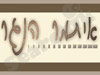איתמר הנגר 