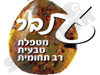 ענבר 