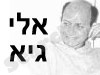אלי גיא 