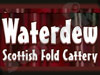 WATERDEW CATTERY