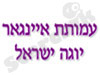 עמותת איינגר יוגה