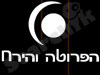 הפרוטה והירח 