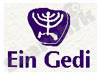 נרות עין גדי