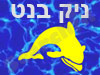 ניק בנט