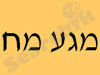 מגע מח 