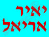 יאיר אריאל 