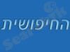 החיפושית