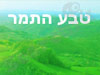 טבע התמר 
