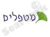 הביו תדר של דליה ודוד 