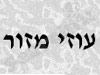 עוזי מזור 