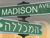 מכללת מדיסון 