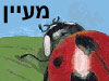 מעיין הירש 