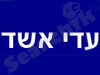 עדי אשד 