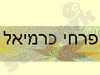 עמותת פרחי כרמיאל