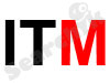 I. T. Management