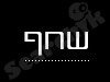 שחף 