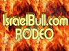 Mechanical Bull Rodeo