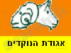 אגודת הנוקדים - עזיזה