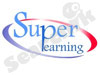 Super Learning 
