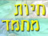 חיות מחמד