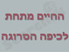 החיים מתחת לכיפה הסרוגה 