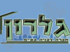 י.ר.ש גלרון