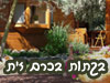 בקתות בכרם זית